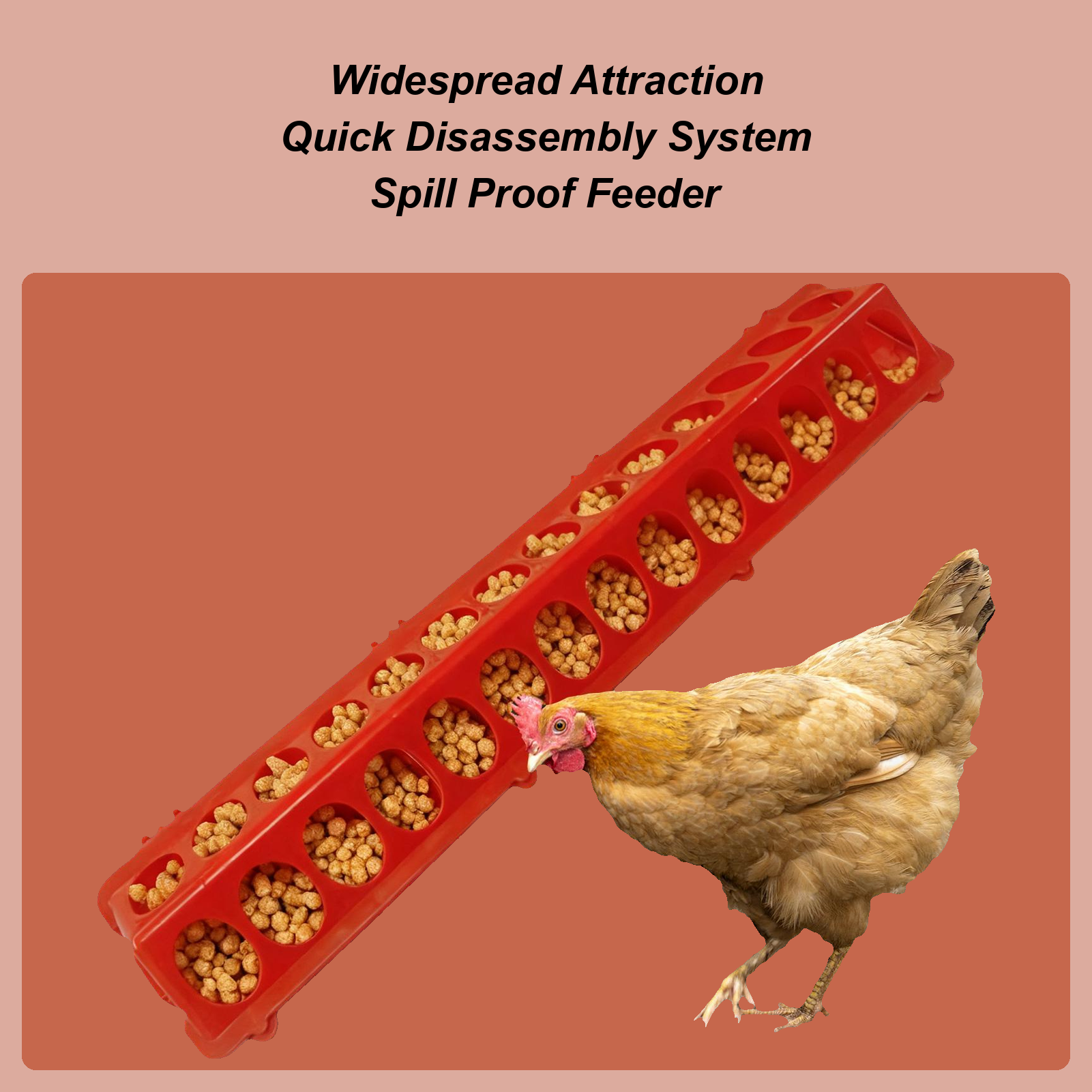 Baby Food With Chicken - Pigeon Feeder 28-hole Long Large Capacity