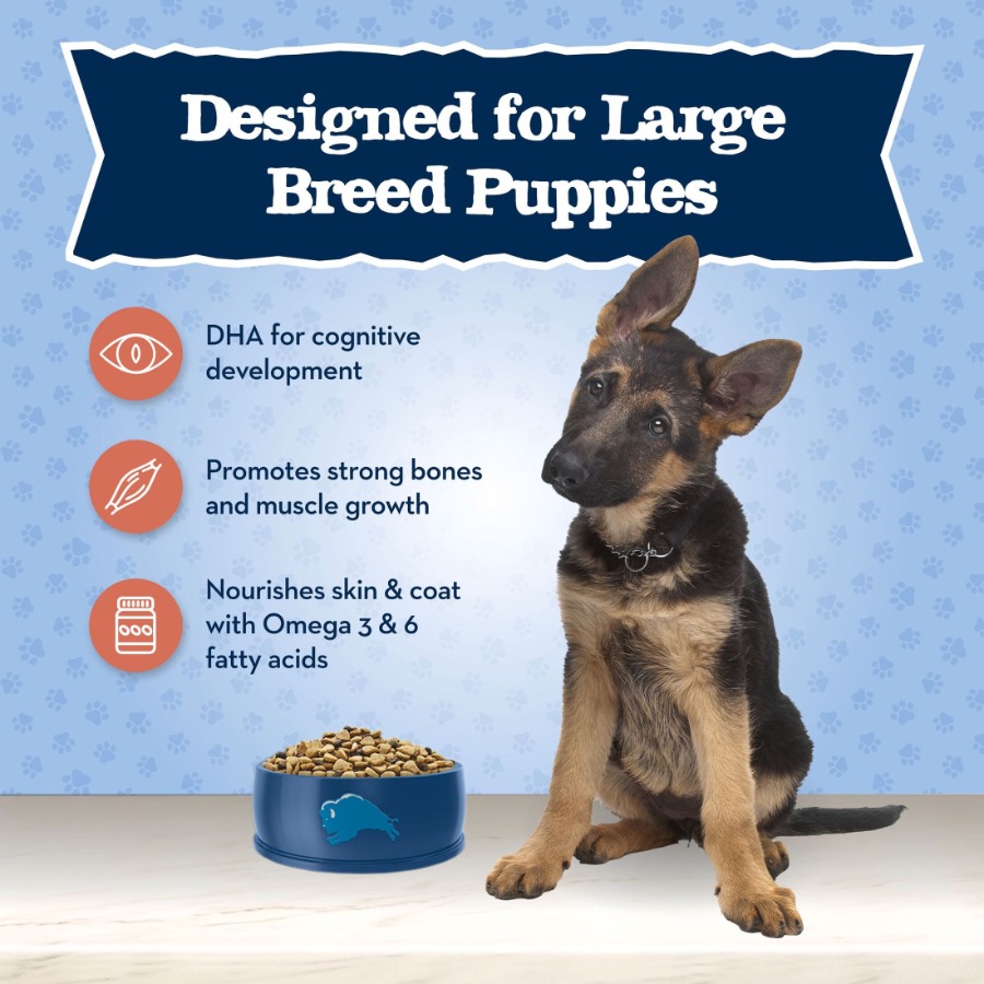 Baby BLUE Large Breed Puppy Dr - Baby Food With Chicken incelemesi ve fiyatı