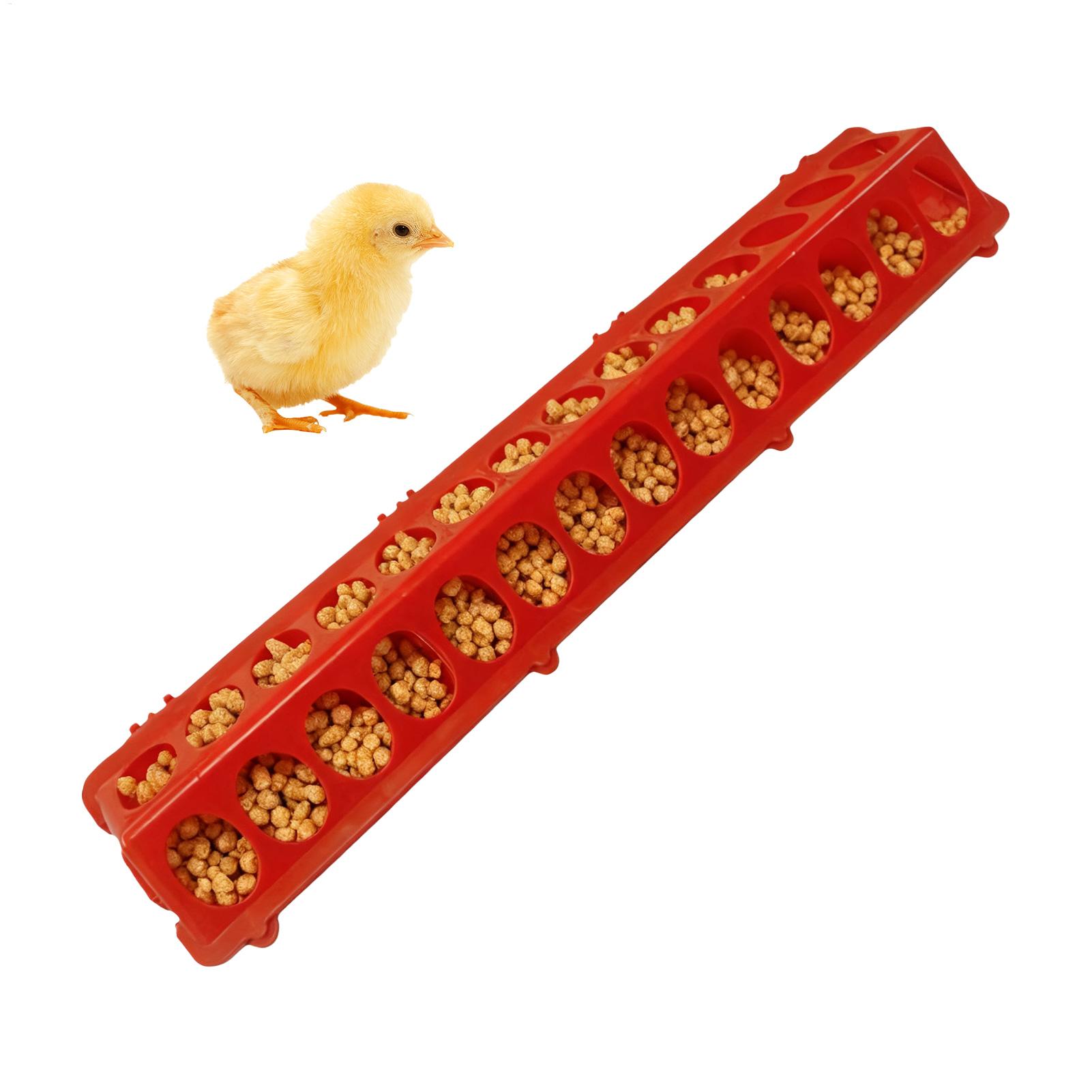 Pigeon Feeder 28-hole Long Lar - Baby Food With Chicken incelemesi ve fiyatı