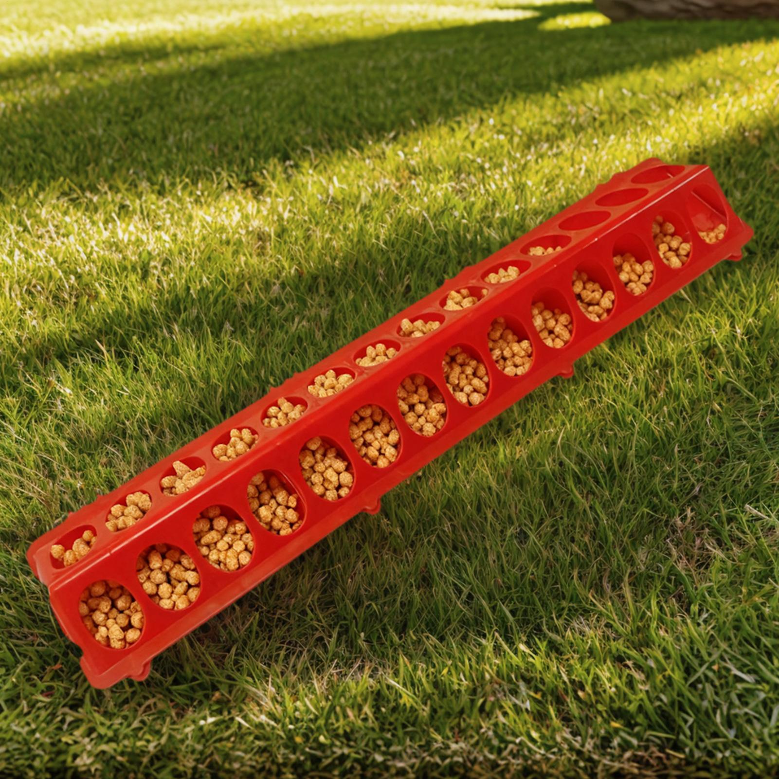 Pigeon Feeder 28-hole Long Lar - Baby Food With Chicken incelemesi ve fiyatı